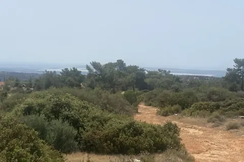 43479m² Land à Souni–Zanatzia, Cyprus No. 42202 4