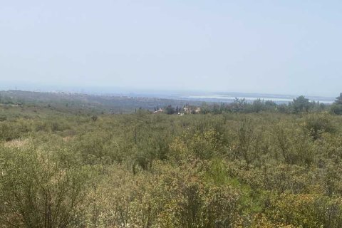 43479m² Land in Souni–Zanatzia, Cyprus No. 42202 4