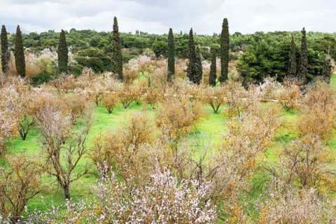 2 bedrooms Apartment in Athens, Greece No. 51974 10