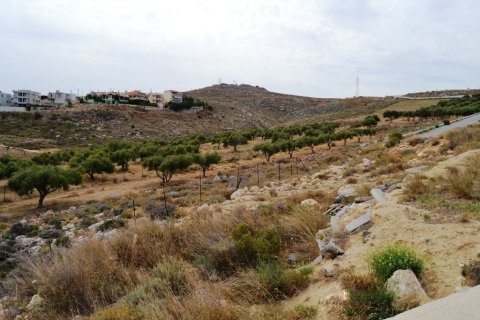 40000m² Land in Heraklion, Greece No. 58132 4