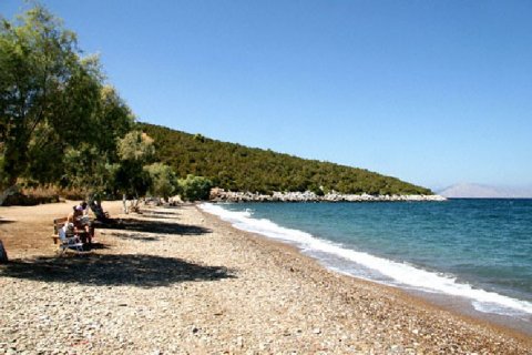 9200m² Land in Vilia, Greece No. 58277 2