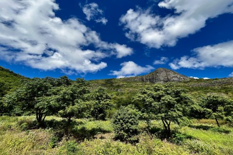 Land en Pailles, Mauritius No. 60824 3