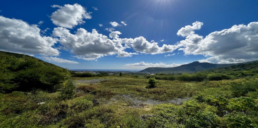 Land en Pailles, Mauritius No. 60824