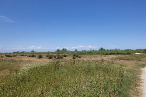 12955m² Land en Katerini, Greece No. 56210 6