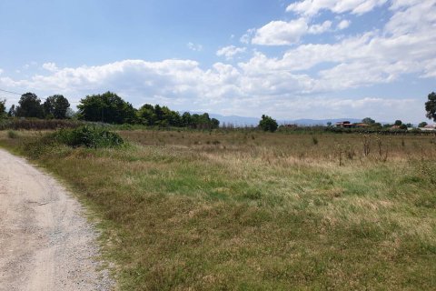 12955m² Land en Katerini, Greece No. 56210 7