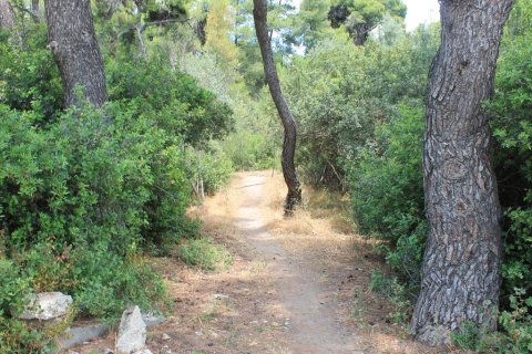 1400m² Land in Xylokastro, Greece No. 60294 4