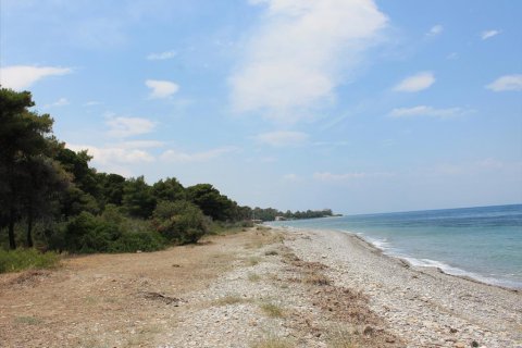 1400m² Land in Xylokastro, Greece No. 60294 5