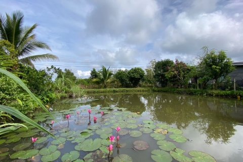 4 dormitorios House en Chiang Mai, Thailand No. 1453 27