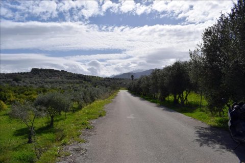 11000m² Land in Chania, Greece No. 58267 1