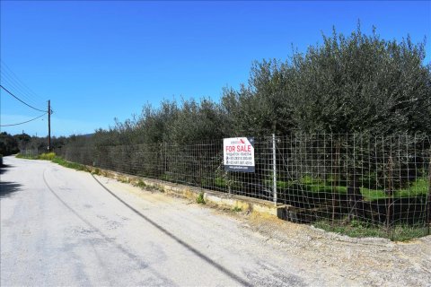 11000m² Land en Chania, Greece No. 58267 5