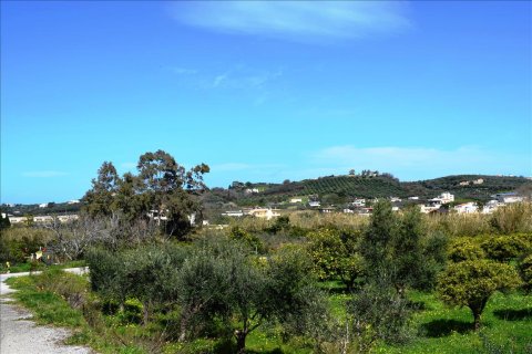 11000m² Land en Chania, Greece No. 58267 2