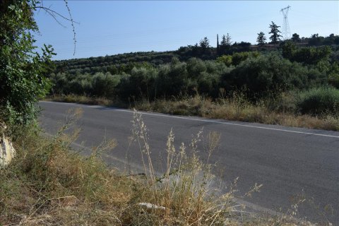 8500m² Land in Rethymno, Greece No. 58542 2