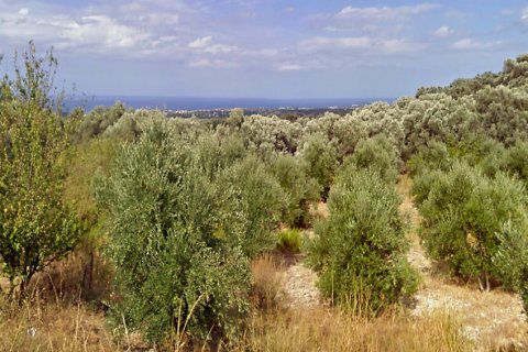 8500m² Land à Rethymno, Greece No. 58542 1