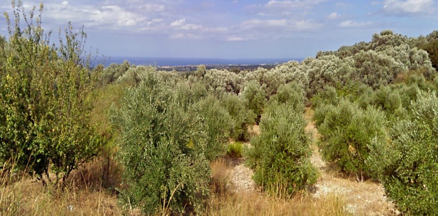 8500m² Land in Rethymno, Greece No. 58542