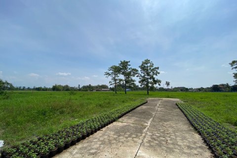 20 dormitorios Land en Chiang Mai, Thailand No. 2569 4