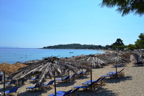 15500m² Land en Chalkidiki, Greece No. 59446 1