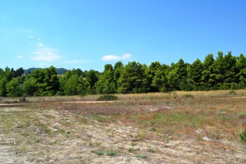 15500m² Land à Chalkidiki, Greece No. 59446 7