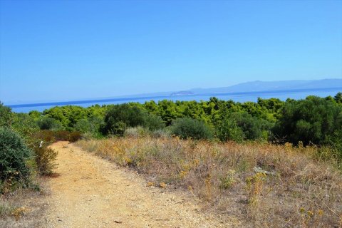 15500m² Land à Chalkidiki, Greece No. 59446 9