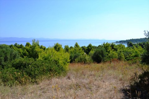 15500m² Land en Chalkidiki, Greece No. 59446 10