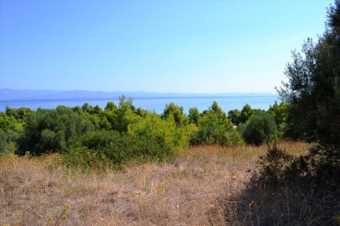 15500m² Land à Chalkidiki, Greece No. 59446 8