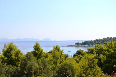 15500m² Land à Chalkidiki, Greece No. 59446 11