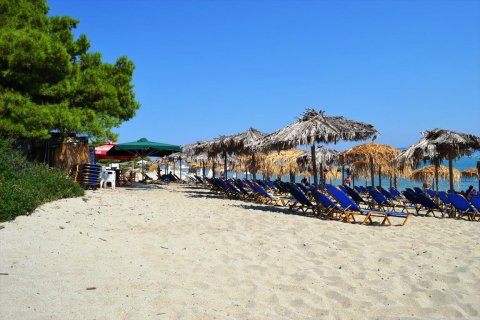 15500m² Land en Chalkidiki, Greece No. 59446 4