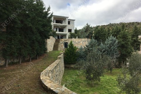 12 bedrooms Villa in Magnesia, Greece No. 24245 5