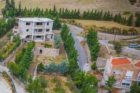 12 bedrooms Villa in Magnesia, Greece No. 24245 10