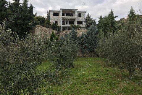 12 bedrooms Villa in Magnesia, Greece No. 24245 4