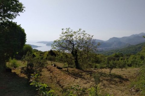 5300m² Land in Budva, Montenegro No. 66851 2