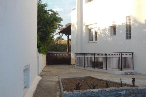 5 bedrooms Maisonette in Chalkidiki, Greece No. 58719 19