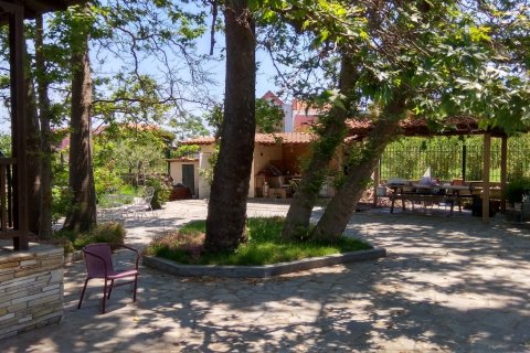 160m² Hotel à Chalkidiki, Greece No. 58704 7