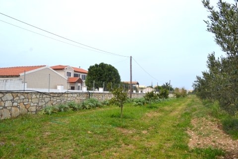 12000m² Land à Corfu, Greece No. 59762 3