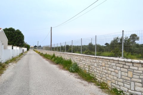 12000m² Land in Corfu, Greece No. 59762 1