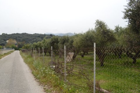 9000m² Land in Corfu, Greece No. 59761 1