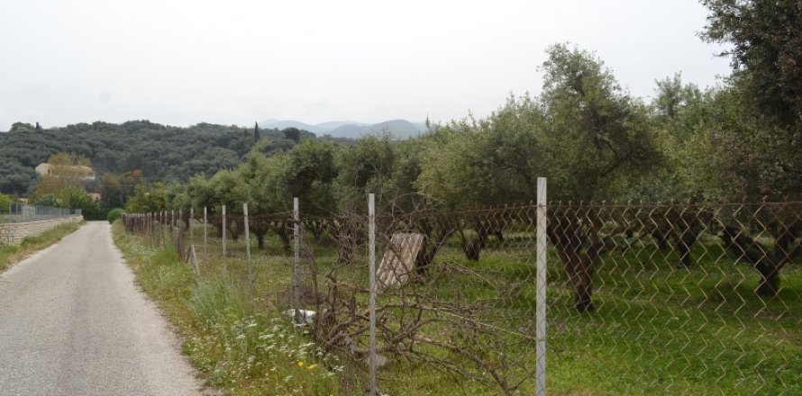 9000m² Land in Corfu, Greece No. 59761