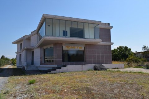 600m² Edificio en Thermaic Gulf, Greece No. 56960 1