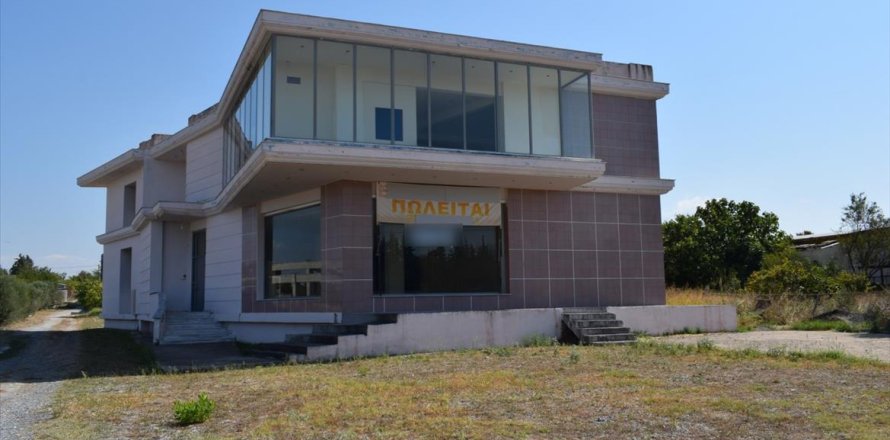 600m² Building in Thermaic Gulf, Greece No. 56960