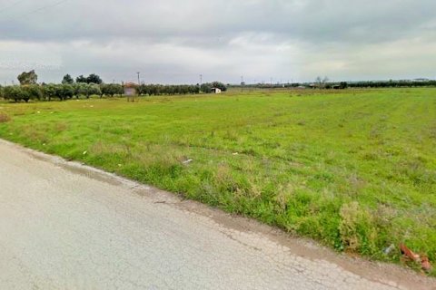 32871m² Land à Chalkidiki, Greece No. 56961 3