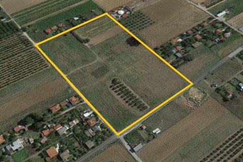 32871m² Land in Chalkidiki, Greece No. 56961 1