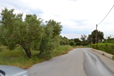 6012m² Land en Chalkidiki, Greece No. 58737 1