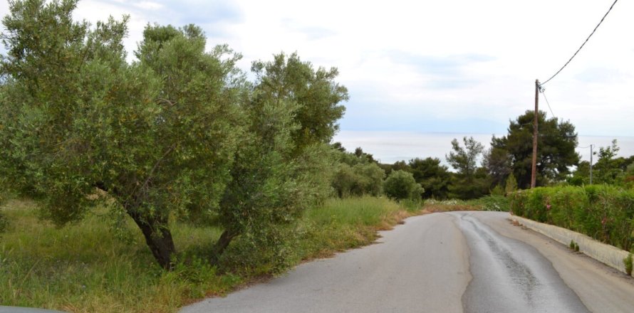 6012m² Land en Chalkidiki, Greece No. 58737