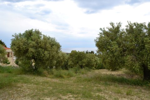 6012m² Land à Chalkidiki, Greece No. 58737 4