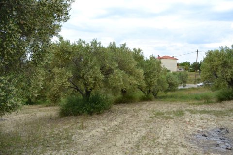 6012m² Land à Chalkidiki, Greece No. 58737 3