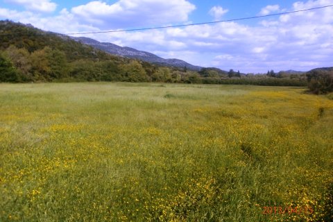 23000m² Land à Thesprotia, Greece No. 58741 3