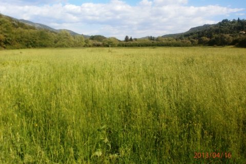 23000m² Land à Thesprotia, Greece No. 58741 6