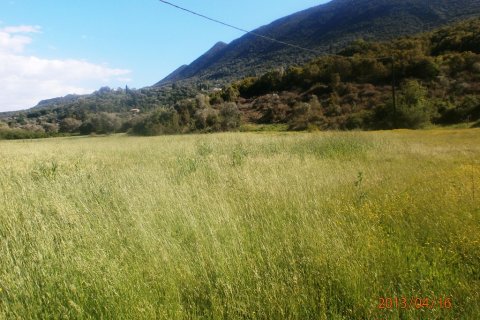 23000m² Land en Thesprotia, Greece No. 58741 5