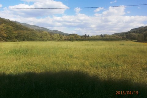 23000m² Land in Thesprotia, Greece No. 58741 4