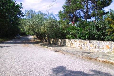 4 bedrooms Villa in Chalkidiki, Greece No. 49338 9