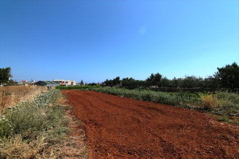 2600m² Land à Heraklion, Greece No. 59592 3